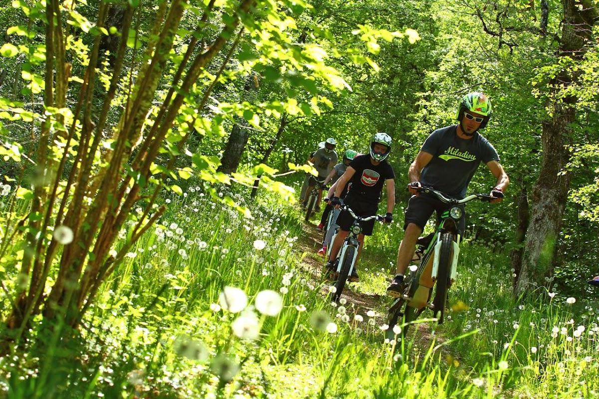 Terrain de motocross à Salles-La-Source — photo 2