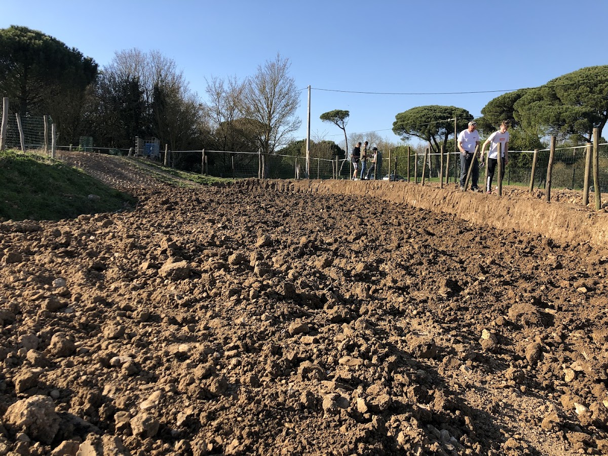Terrain de motocross à Dompierre-Sur-Mer — photo 2