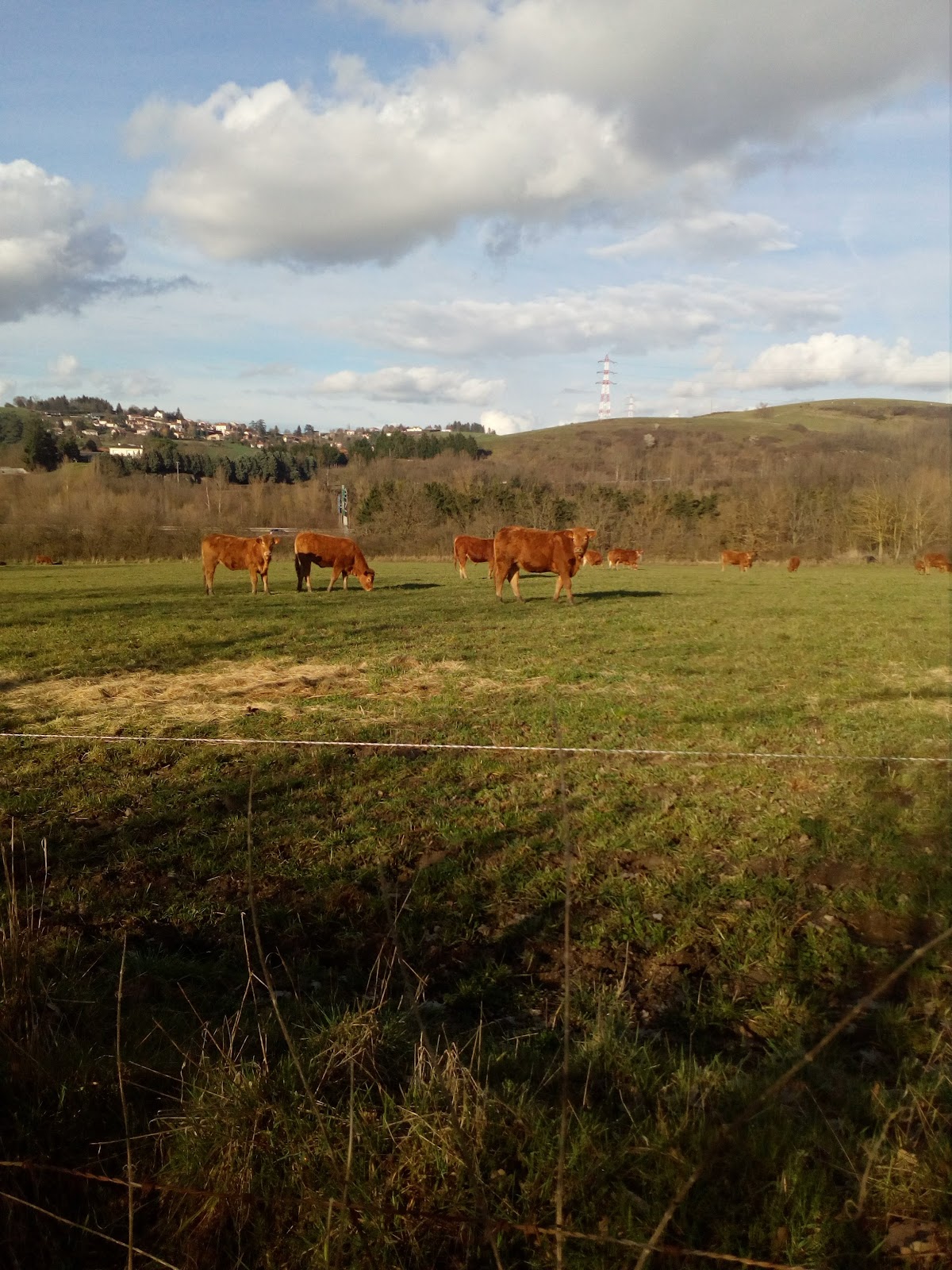 Terrain de motocross à La Fouillouse — photo 2