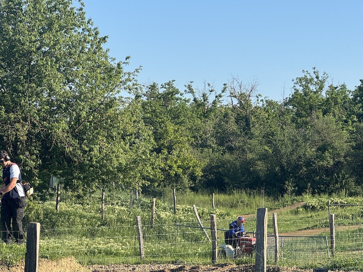 Terrain de motocross à Rixheim — photo 2