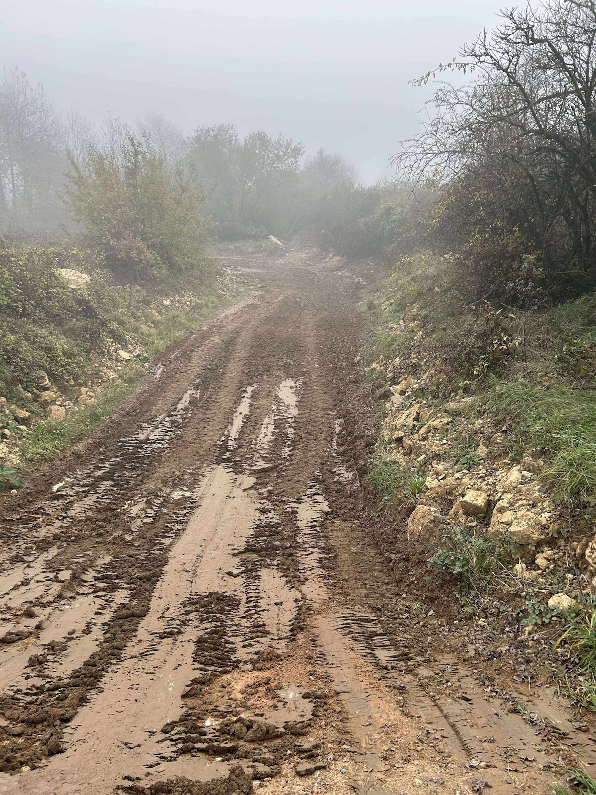 Terrain de motocross à Bambiderstroff — photo 4