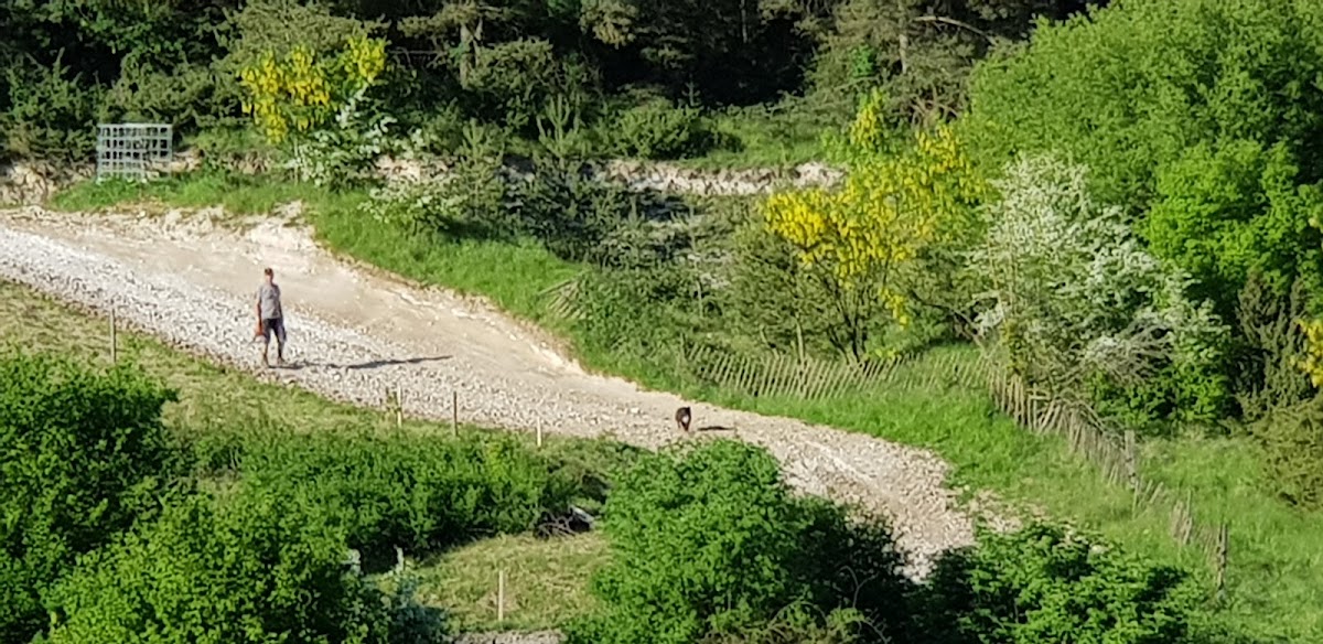 Terrain de motocross à Gasny — photo 1
