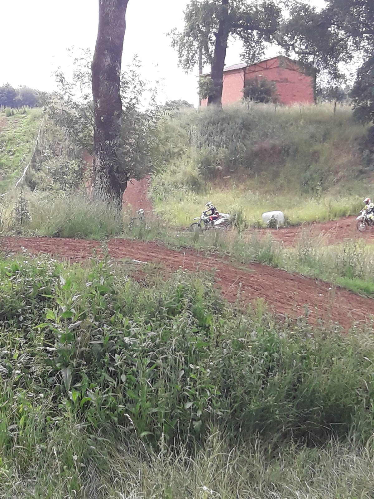 Terrain de motocross à Arbis — photo 4
