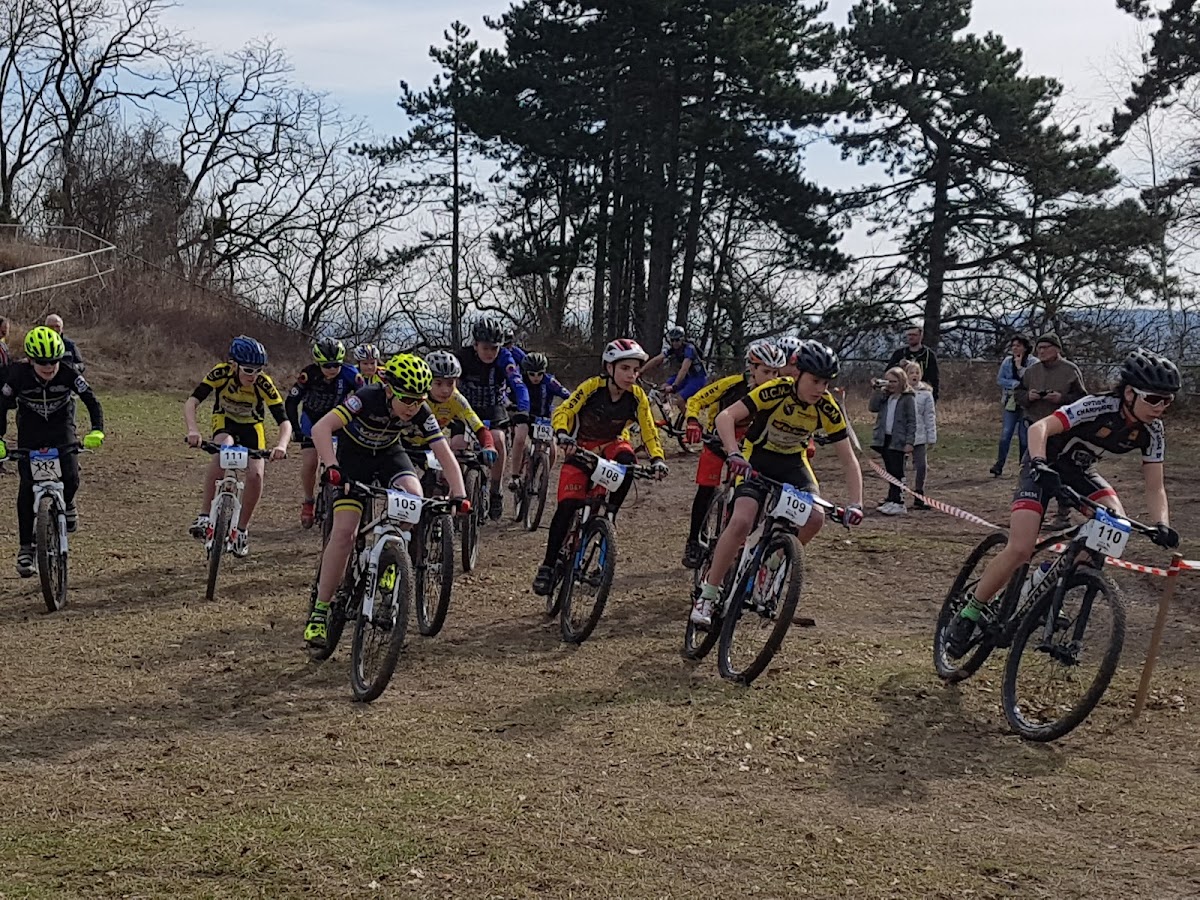 Terrain de motocross à Hermonville — photo 2