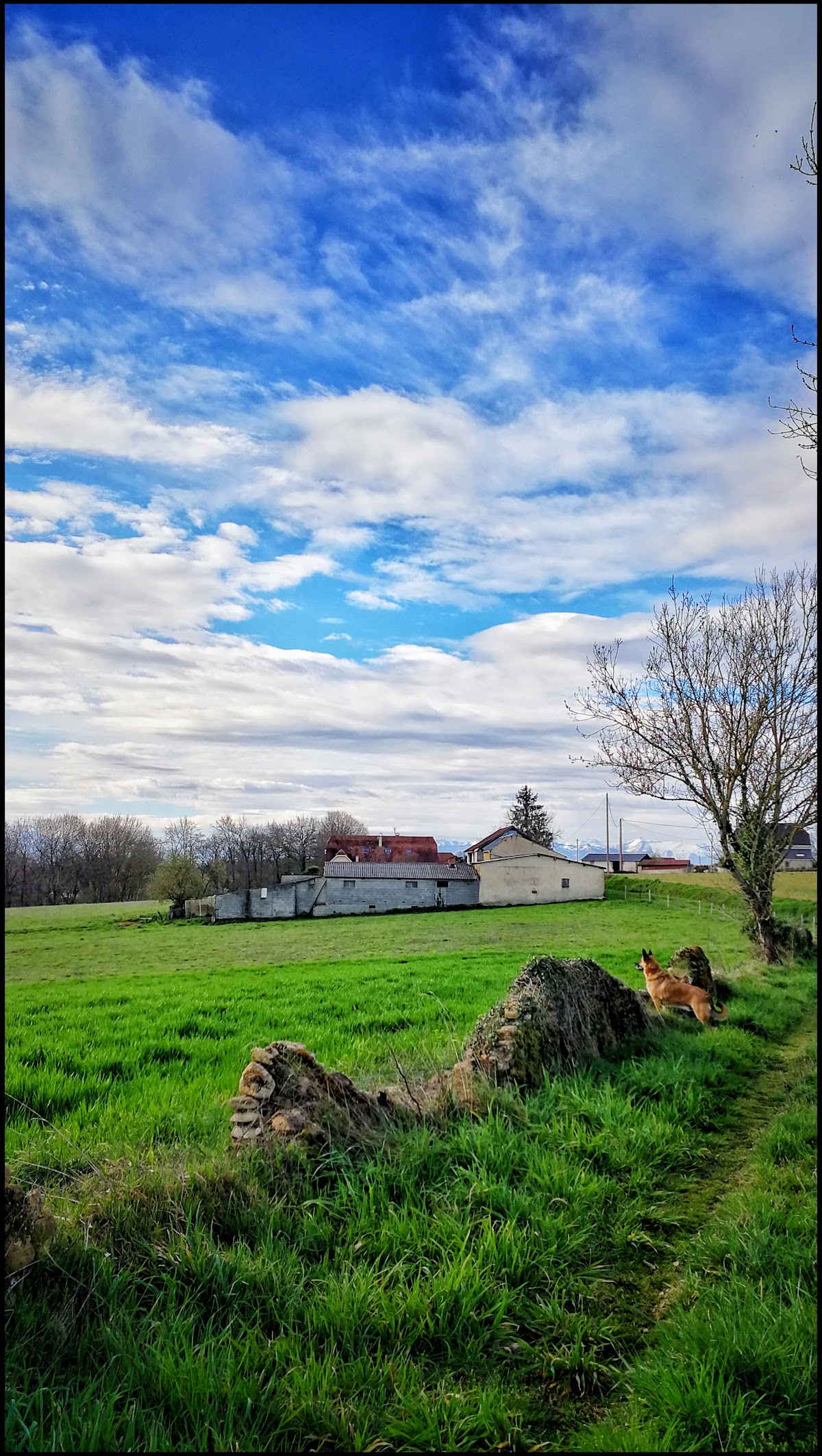 Terrain de motocross à Sedze-Maubecq — photo 2