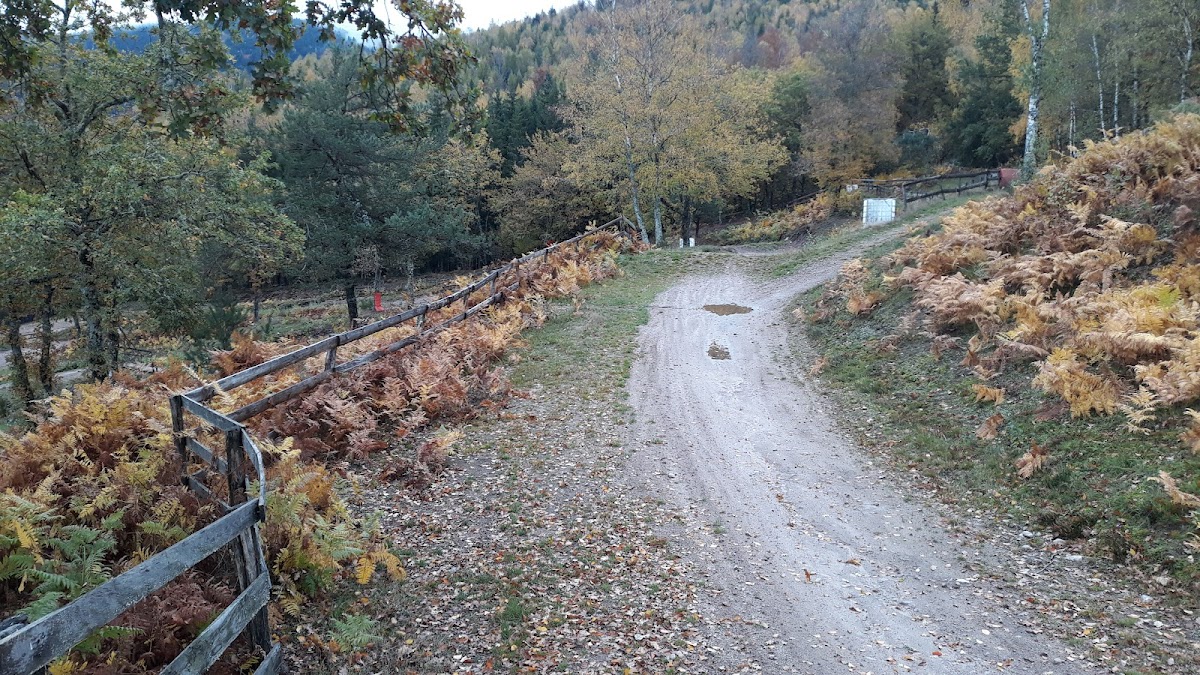 Terrain de motocross à Ramonchamp — photo 2
